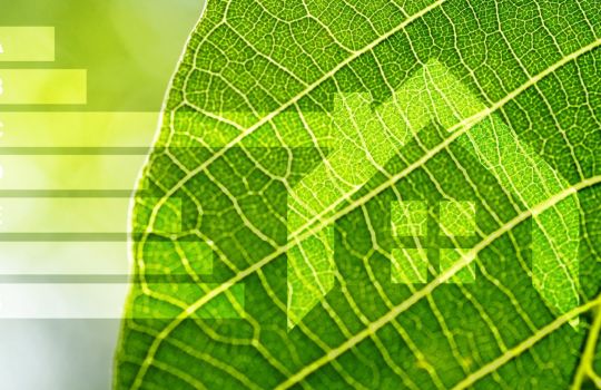Propertymark Respond to PRS energy efficiency consultation