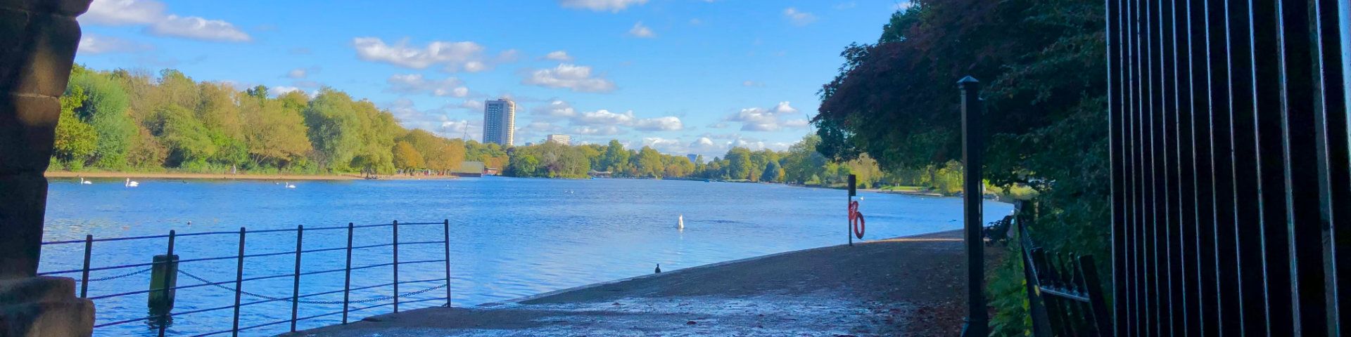 Rent flat in Kensington & Chelsea: Student accommodation