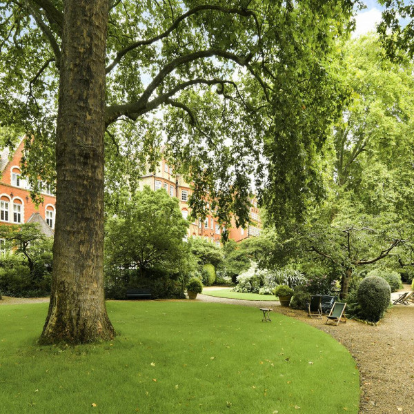 Collingham Gardens