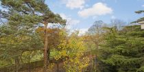 Lansdowne Court, Lansdowne Road, Wimbledon, SW20
