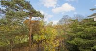 Lansdowne Court, Lansdowne Road, Wimbledon, SW20