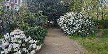 Onslow Square, South Kensington, SW7