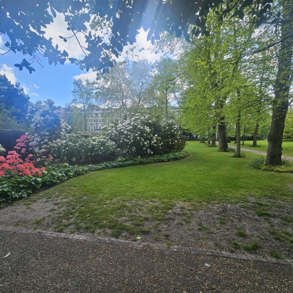 Onslow Square
