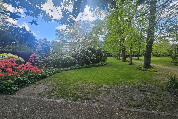 Onslow Square
