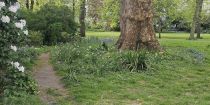 Onslow Square, South Kensington, London