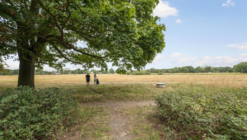 Southside Common, Wimbledon Village, SW19