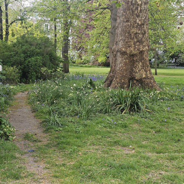 Onslow Square